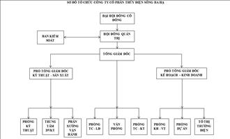 Cơ cấu tổ chức Công ty Cổ phần Thủy điện Sông Ba Hạ