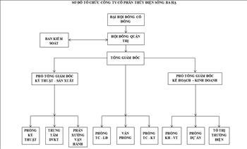 Cơ cấu tổ chức Công ty Cổ phần Thủy điện Sông Ba Hạ